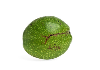 Walnut in green peel on white background