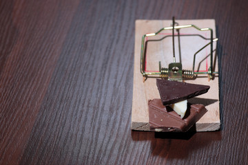 Chocolate in a mousetrap diet