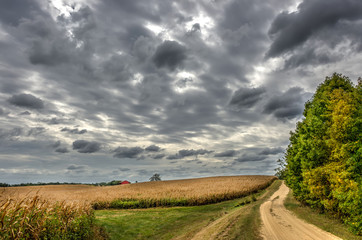 Obraz premium Maryland Country Road in Autumn at twilight
