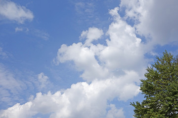 青空と雲