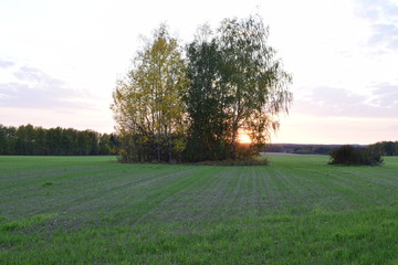 Осенний вечер
