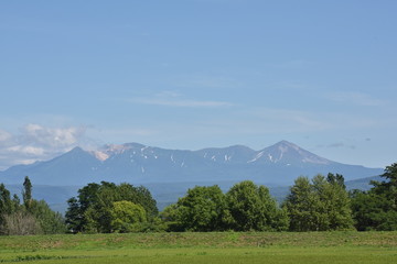 Fototapeta premium 北海道の大地