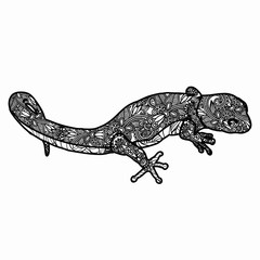Hand drawn lizard for adult anti stress Coloring Page with high details isolated on white background, illustration in zentangle style. Vector monochrome sketch.
