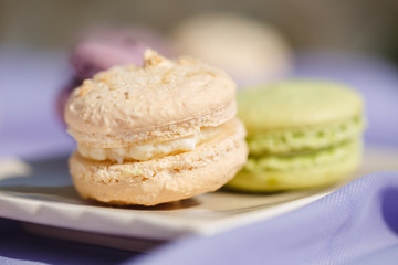 Plate of fresh colorful macarons.