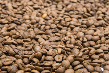 Roasted brown coffee beans, can be used as a background and text
