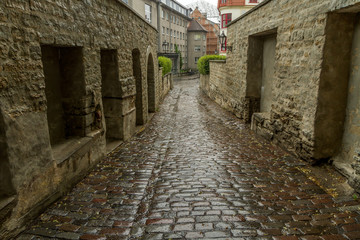 Fototapeta na wymiar a street paved with stones
