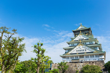 Fototapeta premium Osaka castle in Japan