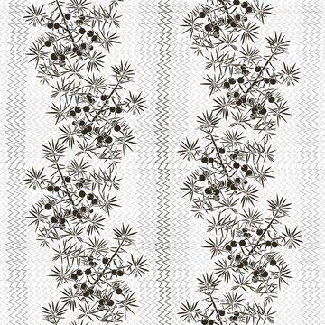Monochrome seamless pattern with juniper. 