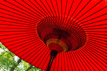 Japanese red umbrella