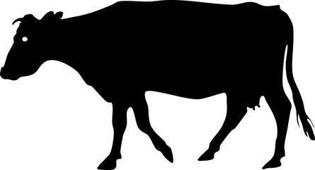 Silhouette of cow