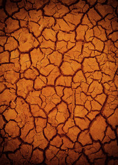 Cracked earth in dry desert