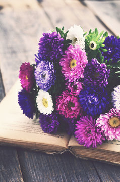 Bunch of colorful aster flowers over open book, vintage effect