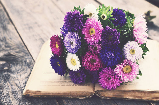 Bunch of autumn asters upon open book, vintage effect