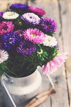 Bunch of colorful asters in old milk can, vintage effect