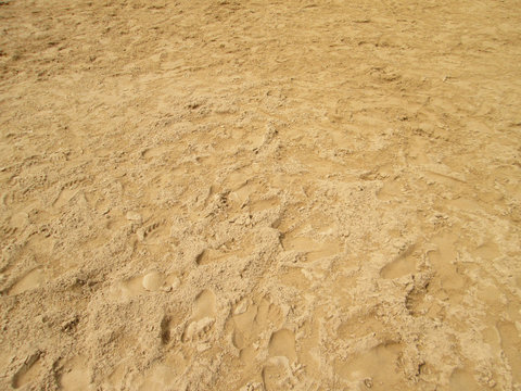 sea sand with footprints