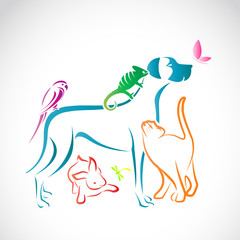 Obraz na płótnie Canvas Vector group of pets - Dog, cat, parrot, chameleon, rabbit, butt