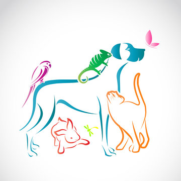 recommend clip art: Vector group of pets - Dog, cat, parrot, chameleon, rabbit, butt