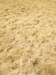 sea sand with footprints