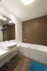 Fototapeta na wymiar Interior of a brown bathroom