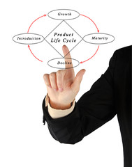 Fototapeta premium Product Life Cycle