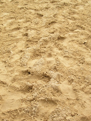 sea sand with footprints