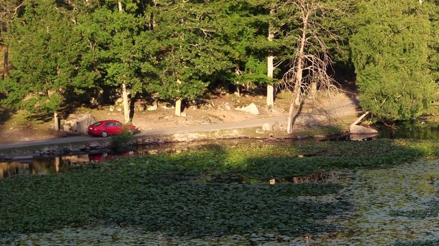 Red car slowly driving on gravel road beside very beautiful fresh water lake in the late afternoon. Lake is full of red water lily and the sunlight hits the road by a dry dead tree.