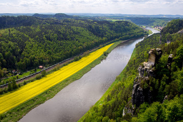 Fototapeta na wymiar The River Rhine and yellow field