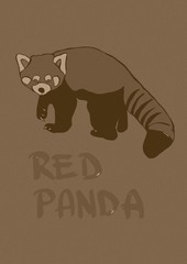 Red Panda vintage
