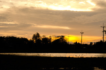 Naklejka premium silhouette and soft focus sky