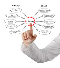 Obesity: causes and effects