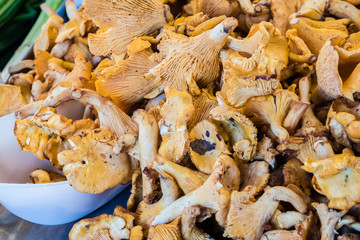 Pfifferlinge auf dem Markt 