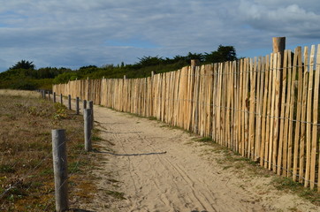 Chemin d'accès à la plage de Keréré (Locmariaquer-Bretagne) 