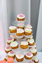 Delicious muffins with custard  / Sweet cakes with pink cream flowers on the plate for the birthday, event or wedding