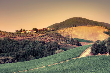 Obraz premium Landscape