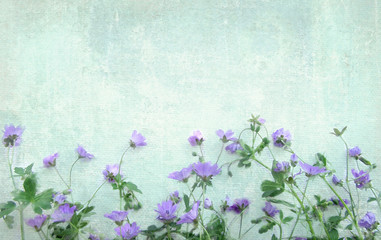 Light grunge background with violet wild flowers. Plants under the wall. May be used for a graphic art, as a greeting or gift layout, wallpaper, web template.