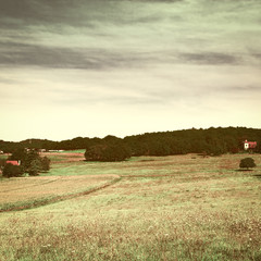Fototapeta premium Village