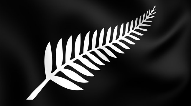 Silver Fern Photos Royalty Free Images Graphics Vectors Videos Adobe Stock