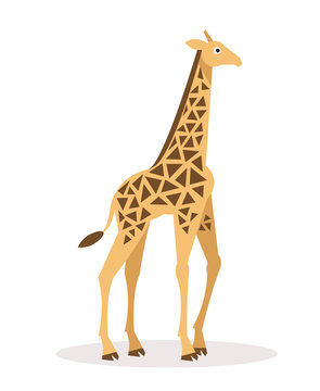 Giraffe. Vector Illustration