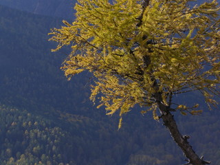 Торгашинский хребет