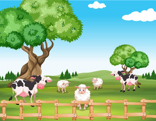 Obraz na płótnie Canvas Sheeps and cows in the field