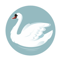 Cartoon swan
