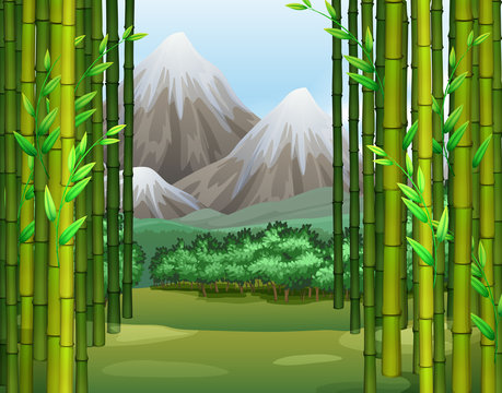 Bamboo Jungle With Mountains Background