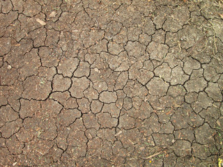 Closeup of dry soil, Cracked Ground Background