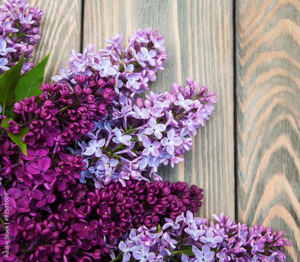 Canvas Prints Lilac flowers