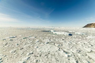 Foto op Aluminium Banquise, Iceberg, Mer de Weddell, Antarctique © JAG IMAGES