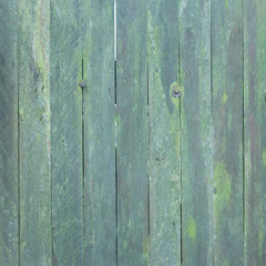 Fototapeta na wymiar close up of wood - textured background