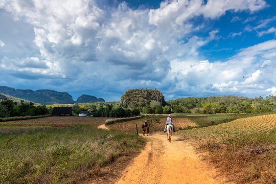 Vinales Valley