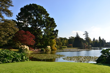 An English country estate in Autumn
