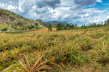 Vinales valley