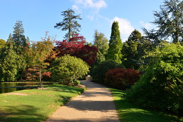 An English country garden in the Fall/ Autumn